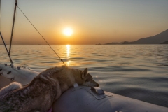 Hund liegt auf einem Boot im Sonnenuntergang.