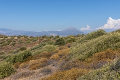 Landschaft der Inseln "Kala Nisia".