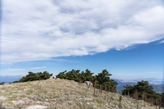 kitheronas_wanderung_32