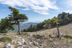 kitheronas_wanderung_39