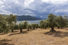 landschaft_porto_prosili_20