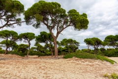 Sandstrand im Nationalpark, Griechenland.