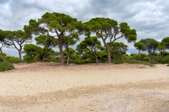 Sandstrand im Nationalpark, Griechenland.