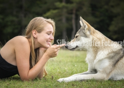 Gespräch mit einem Wolfhund.